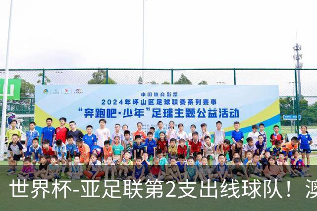 世界杯-亚足联第2支出线球队！澳大利亚0-0巴拉圭获小组第2