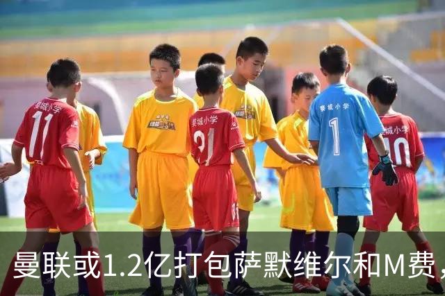曼联或1.2亿打包萨默维尔和M费，必须先卖掉拉什福德！中场廉价新目标曝光